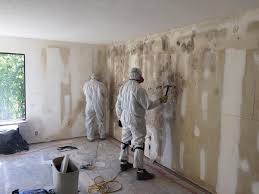 Why You Should Choose Our Mold Remediation Services in Woodlands, CA